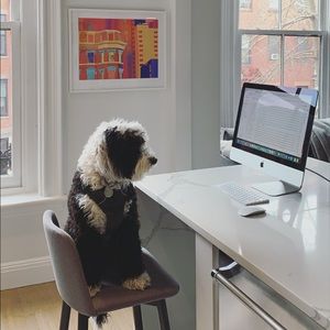 Meet your Posher, Brett